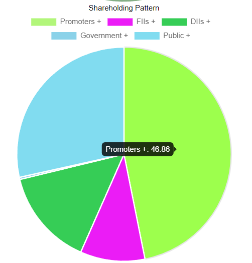 pie chart of shareholding pattern of tata power