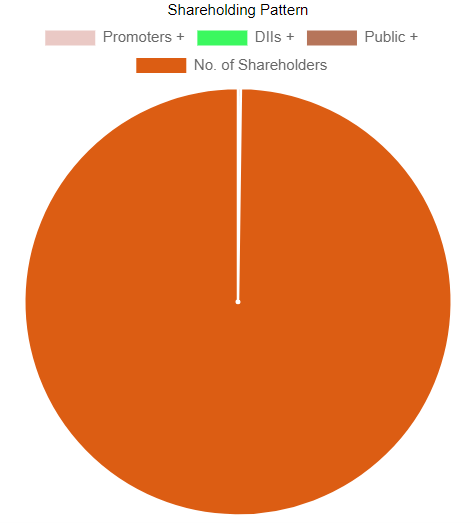 pie chart of shareholding pattern